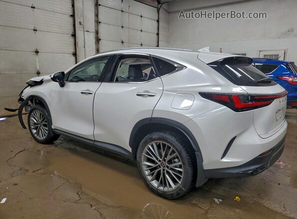 JTJHGCEZ8P5004606 2023 LEXUS NX White Tył lewy