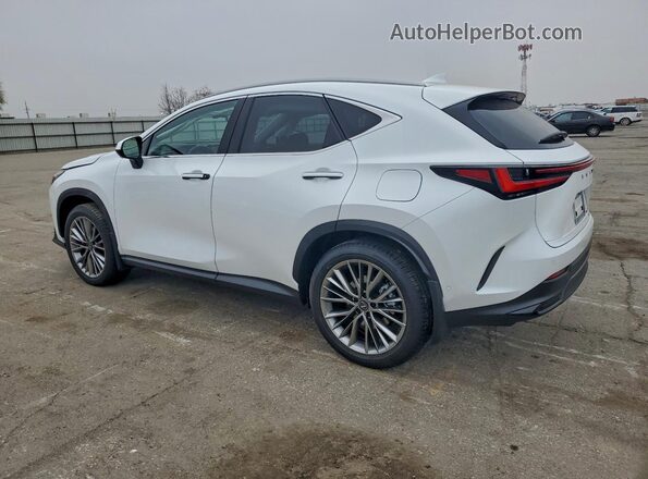 JTJHKCEZXT5043545 2026 LEXUS NX Белый Задняя левая четверть