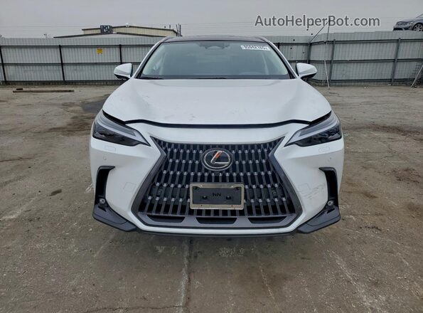 JTJHKCEZXT5043545 2026 LEXUS NX Белый Вид спереди