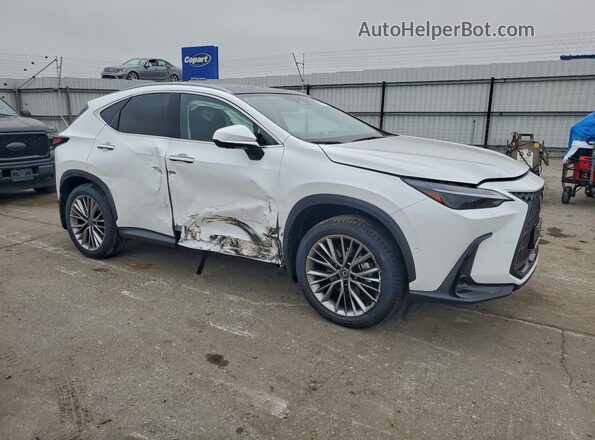 JTJHKCEZXT5043545 2026 LEXUS NX Белый Передняя правая четверть