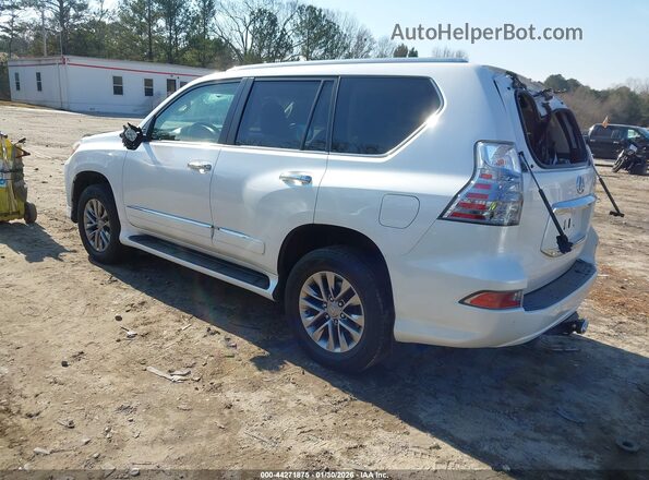 JTJJM7FX5H5159873 2017 LEXUS GX 460 White Հետևի ձախ