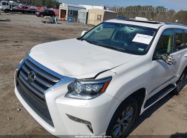 JTJJM7FX5H5159873 2017 LEXUS GX 460 White Դիմացի տեսք
