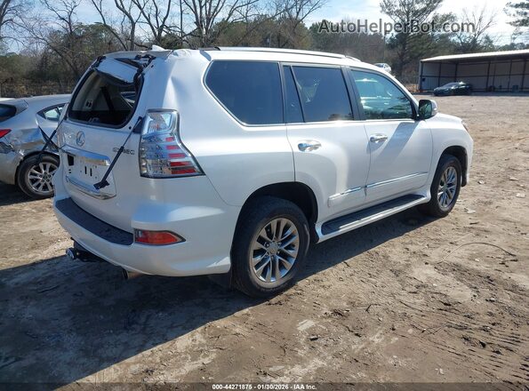 JTJJM7FX5H5159873 2017 LEXUS GX 460 White Հետևի աջ