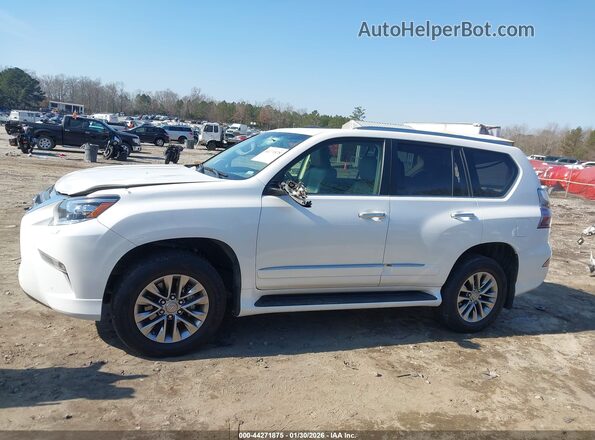 JTJJM7FX5H5159873 2017 LEXUS GX 460 White Սալոնի 360 աստիճան տեսք