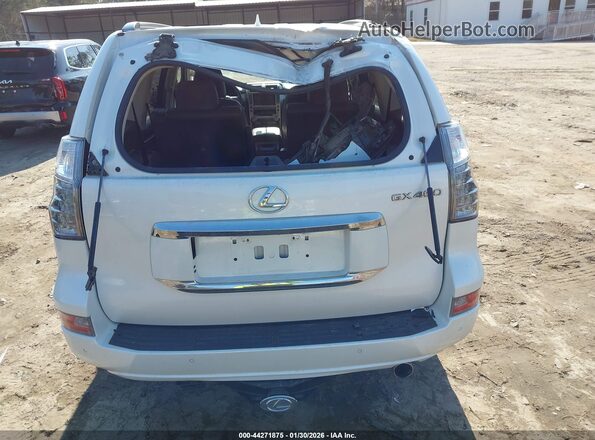 JTJJM7FX5H5159873 2017 LEXUS GX 460 White 