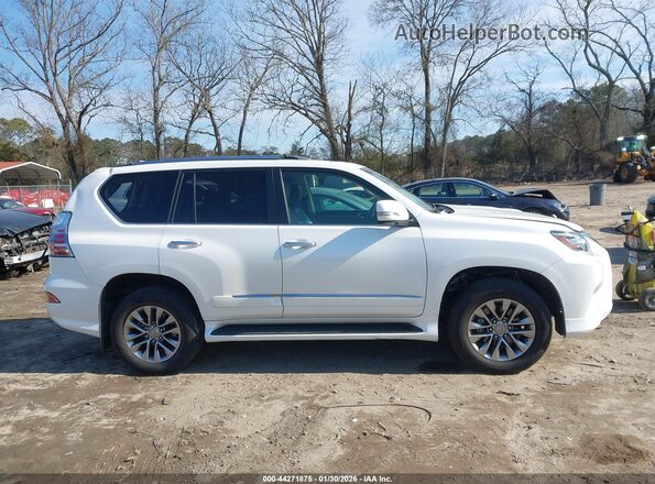 JTJJM7FX5H5159873 2017 LEXUS GX 460 White Սալոնի հետևի տեսք