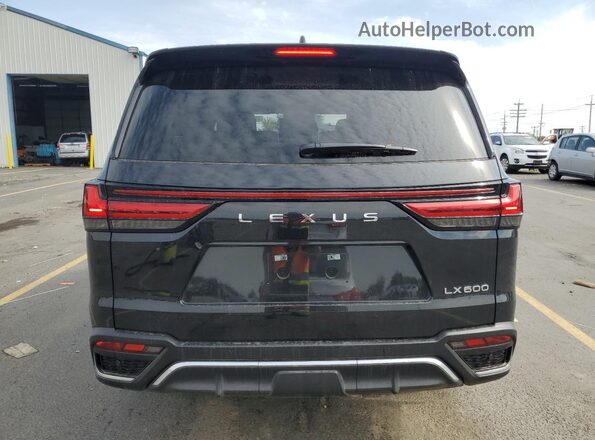 JTJMB7CX9S4076905 2025 LEXUS LX Black Widok z tyłu