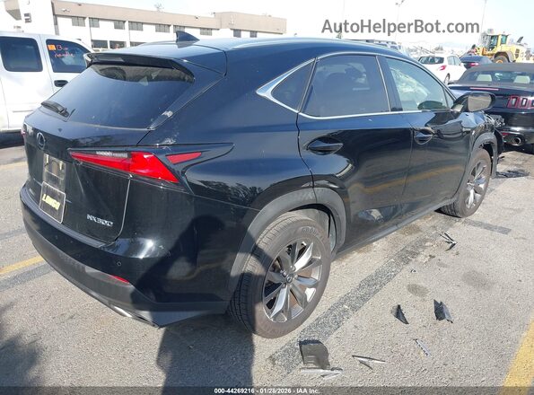 JTJSARBZ3M2198151 2021 LEXUS NX 300 Black Հետևի աջ