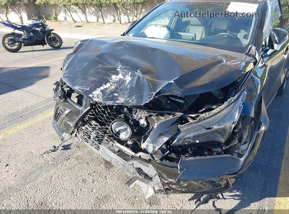 JTJSARBZ3M2198151 2021 LEXUS NX 300 Black Դիմացի տեսք