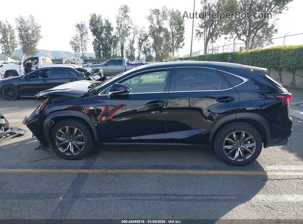 JTJSARBZ3M2198151 2021 LEXUS NX 300 Black 