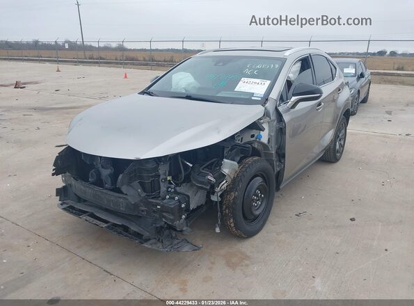 JTJSARBZ4L2171698 2020 LEXUS NX 300 Silver 