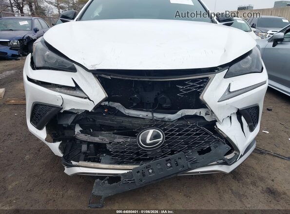 JTJSARDZ3M2248169 2021 LEXUS NX 300 White Vista frontal