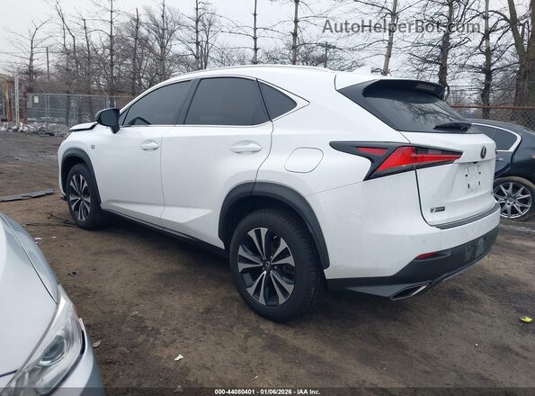 JTJSARDZ3M2248169 2021 LEXUS NX 300 White Trasero izquierdo