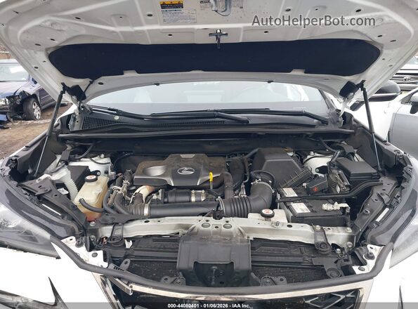JTJSARDZ3M2248169 2021 LEXUS NX 300 White Vista trasera