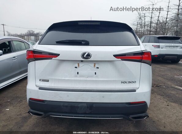 JTJSARDZ3M2248169 2021 LEXUS NX 300 White 