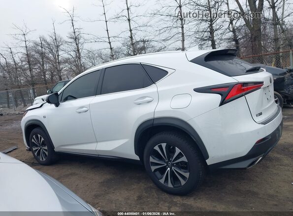 JTJSARDZ3M2248169 2021 LEXUS NX 300 White Vista interior de 360 grados