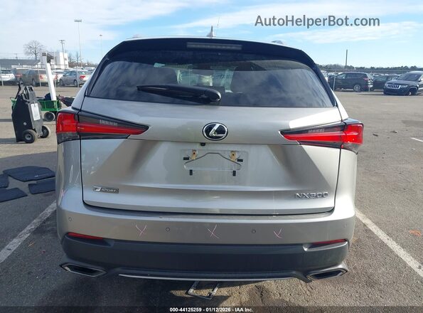 JTJSARDZ4M2242929 2021 LEXUS NX 300 Silver 