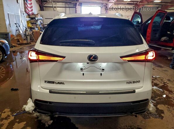 JTJSARDZ7M2261703 2021 LEXUS NX White 