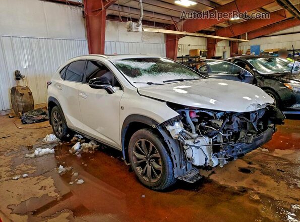 JTJSARDZ7M2261703 2021 LEXUS NX White 
