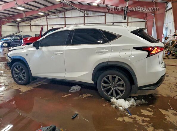JTJSARDZ7M2261703 2021 LEXUS NX White 