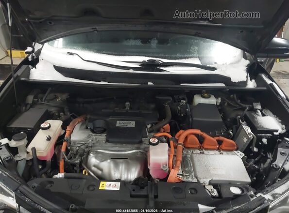 JTMDJREV4GD050958 2016 TOYOTA LIMITED Black Vista trasera