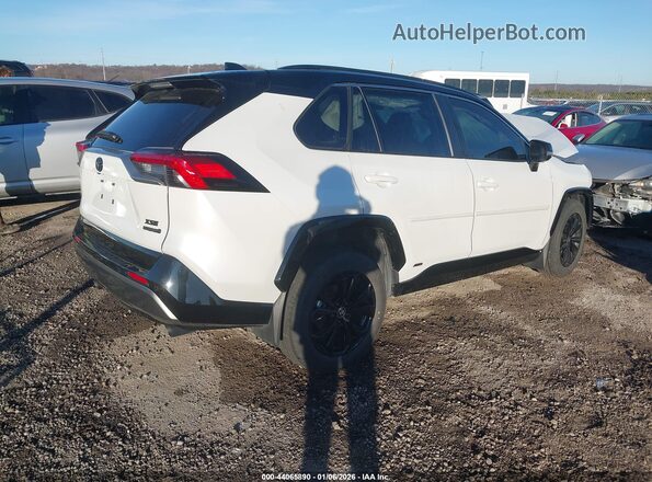 JTME6RFV6RD569727 2024 TOYOTA RAV4 HYBRID Белый Задняя правая четверть