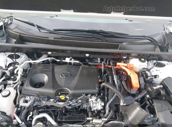 JTMEB3FV6PD150394 2023 TOYOTA RAV4 PRIME White Widok z tyłu