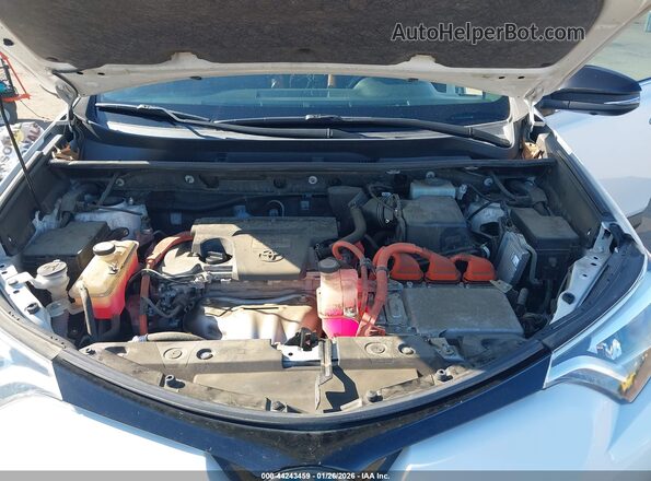 JTMJJREV5JD229925 2018 TOYOTA RAV4 HYBRID White Widok z tyłu