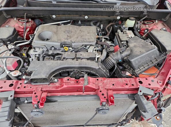 JTMN1RFV0LD531044 2020 TOYOTA LIMITED Burgundy Widok wnętrza z tyłu