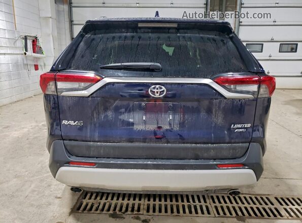 JTMN1RFV1LD529190 2020 TOYOTA LIMITED Blue Вид ззаду
