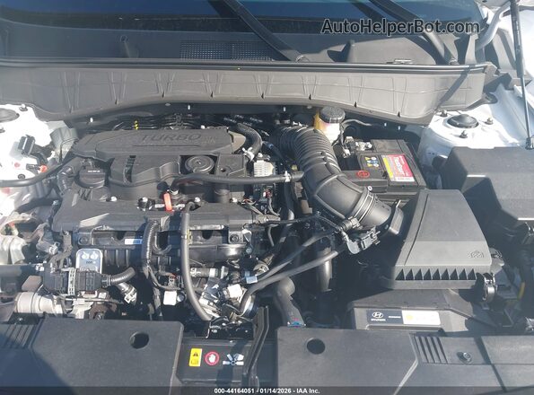 KM8HD3A38TU377072 2026 HYUNDAI KONA White Widok z tyłu