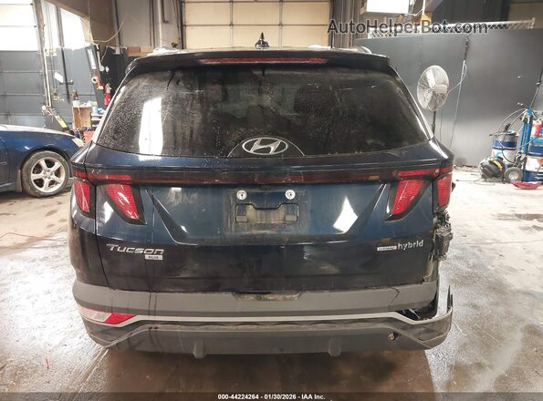 KM8JBCD13RU215540 2024 HYUNDAI TUCSON HYBRID Dark Blue 
