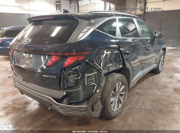 KM8JBCD13RU215540 2024 HYUNDAI TUCSON HYBRID Dark Blue Задня права чверть