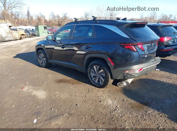 KM8JBCD1XRU229645 2024 HYUNDAI TUCSON HYBRID Dark Blue Задня ліва чверть