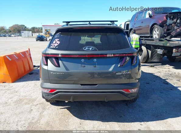 KM8JCCD12RU185556 2024 HYUNDAI TUCSON HYBRID Gray 