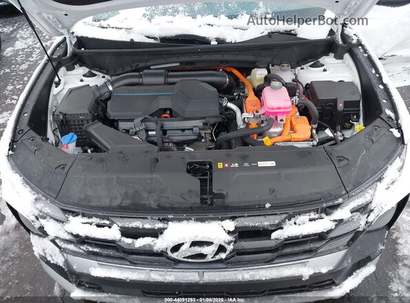 KM8JCDD1XSU385550 2025 HYUNDAI TUCSON HYBRID White Rear view