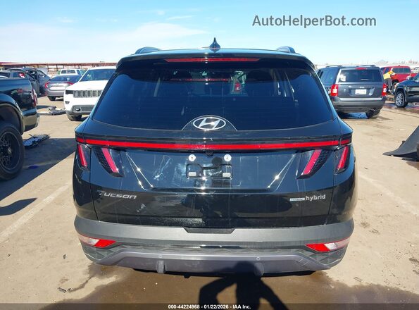 KM8JECD10RU238264 2024 HYUNDAI TUCSON HYBRID Черный 