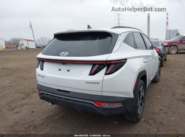KM8JFCA10NU041817 2022 HYUNDAI TUCSON HYBRID White Trasero derecho