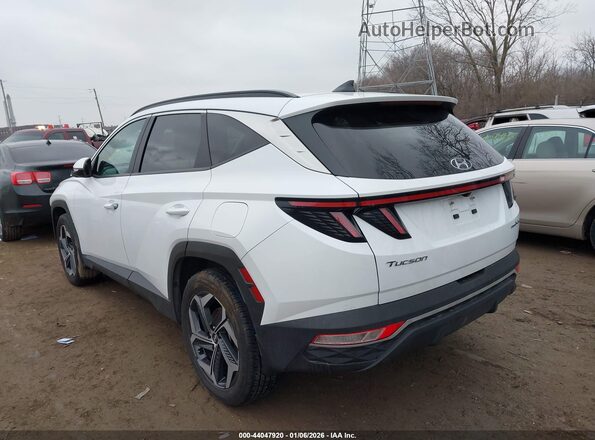 KM8JFCA10NU041817 2022 HYUNDAI TUCSON HYBRID White Trasero izquierdo