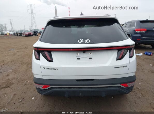 KM8JFCA10NU041817 2022 HYUNDAI TUCSON HYBRID White 