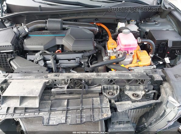 KM8JFCA11PU133358 2023 HYUNDAI TUCSON HYBRID Gray Widok z tyłu