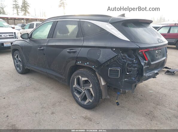 KM8JFCA18NU024795 2022 HYUNDAI TUCSON HYBRID Blue Задня ліва чверть