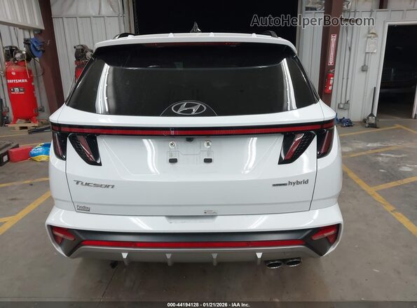 KM8JFCD14RU159287 2024 HYUNDAI TUCSON HYBRID Белый 