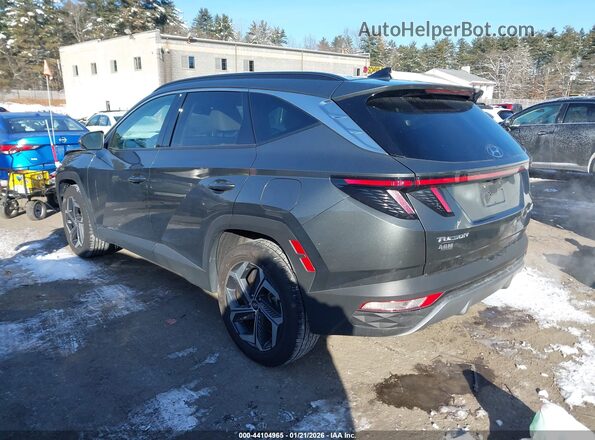 KM8JFDD20RU147264 2024 HYUNDAI TUCSON PLUG-IN HYBRID Gray უკანა მარცხენა