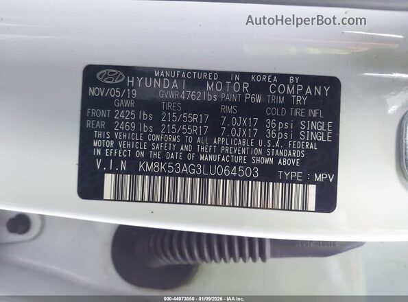 KM8K53AG3LU064503 2020 HYUNDAI KONA ELECTRIC Gray Vista del compartimento del motor