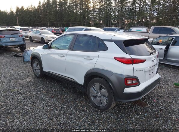 KM8K53AG3LU064503 2020 HYUNDAI KONA ELECTRIC Gray Trasero izquierdo