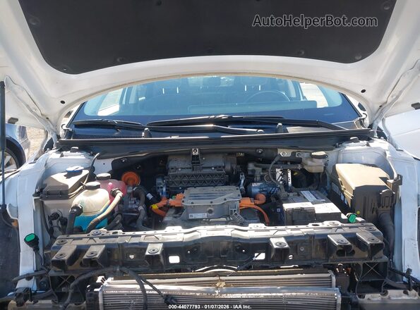 KM8KNDAF6PU189417 2023 HYUNDAI IONIQ 5 White უკანა ხედი