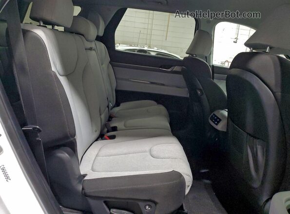 KM8R1DHE0MU287894 2021 HYUNDAI PALISADE Белый 