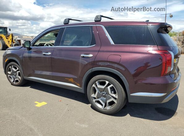 KM8R54GE2PU507255 2023 HYUNDAI PALISADE Burgundy უკანა მარცხენა