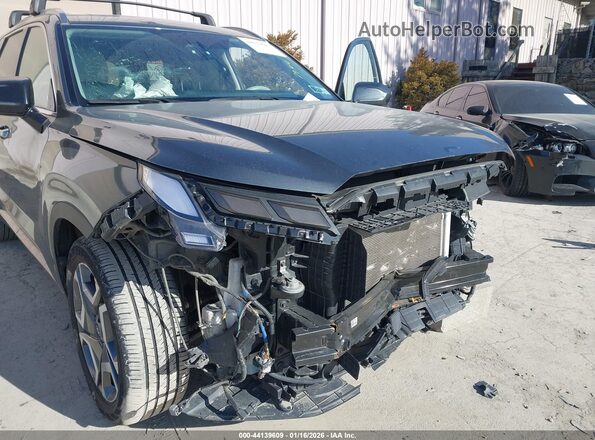 KM8R5DGE0RU700930 2024 HYUNDAI PALISADE Blue წინა ხედი